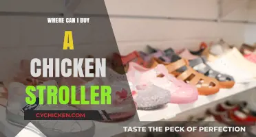 Where to Buy a Chicken Stroller: Top Retailers and Tips