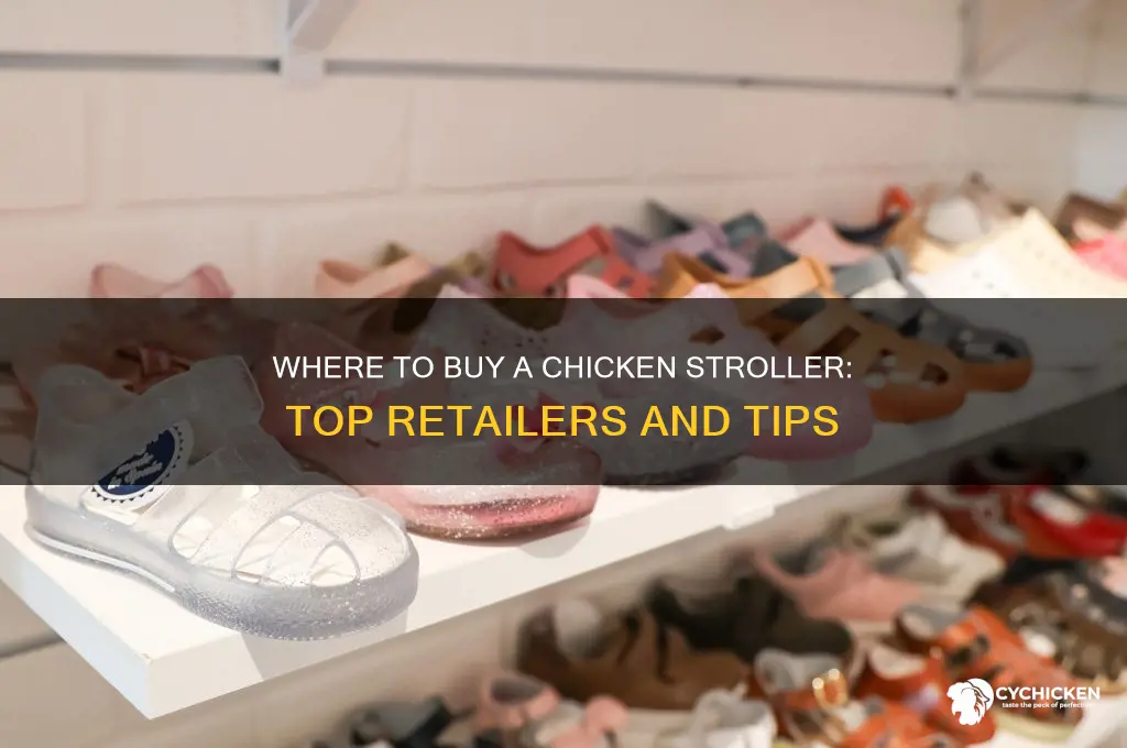 where can i buy a chicken stroller
