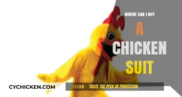 Where to Buy a Chicken Suit: Top Stores and Online Options