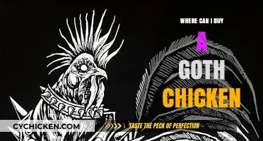 Where to Find and Buy a Unique Goth Chicken: A Guide
