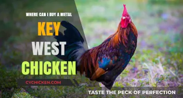 Where to Buy a Metal Key West Chicken: Top Retailers and Online Stores