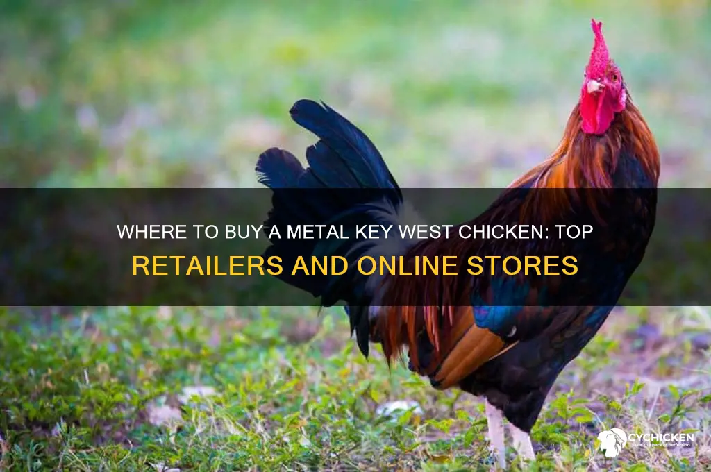 where can i buy a metal key west chicken
