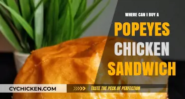 Where to Buy Popeyes Chicken Sandwich: Locations and Tips