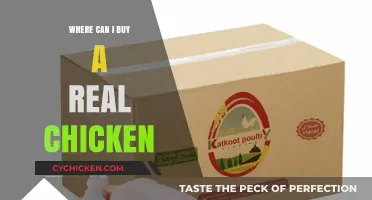 Where to Buy Real, Fresh Chickens: A Comprehensive Guide