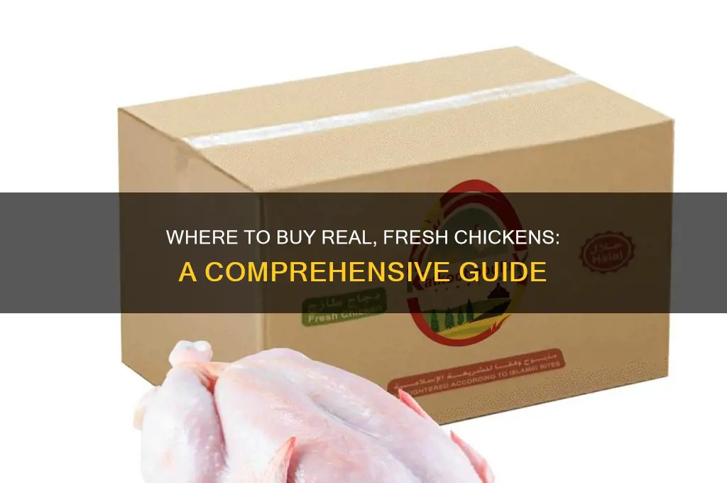 where can i buy a real chicken