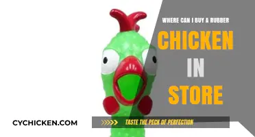 Where to Find Rubber Chickens: In-Store Shopping Guide