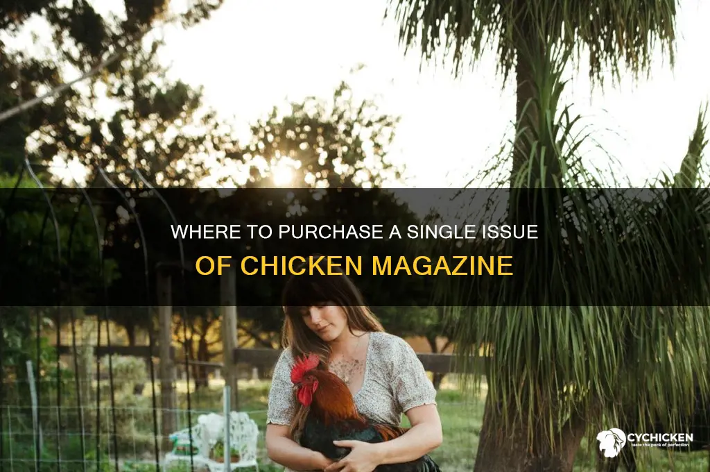 where can i buy a single issue of chicken magazine