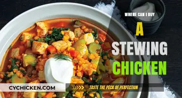 Best Places to Buy Stewing Chicken for Hearty Meals