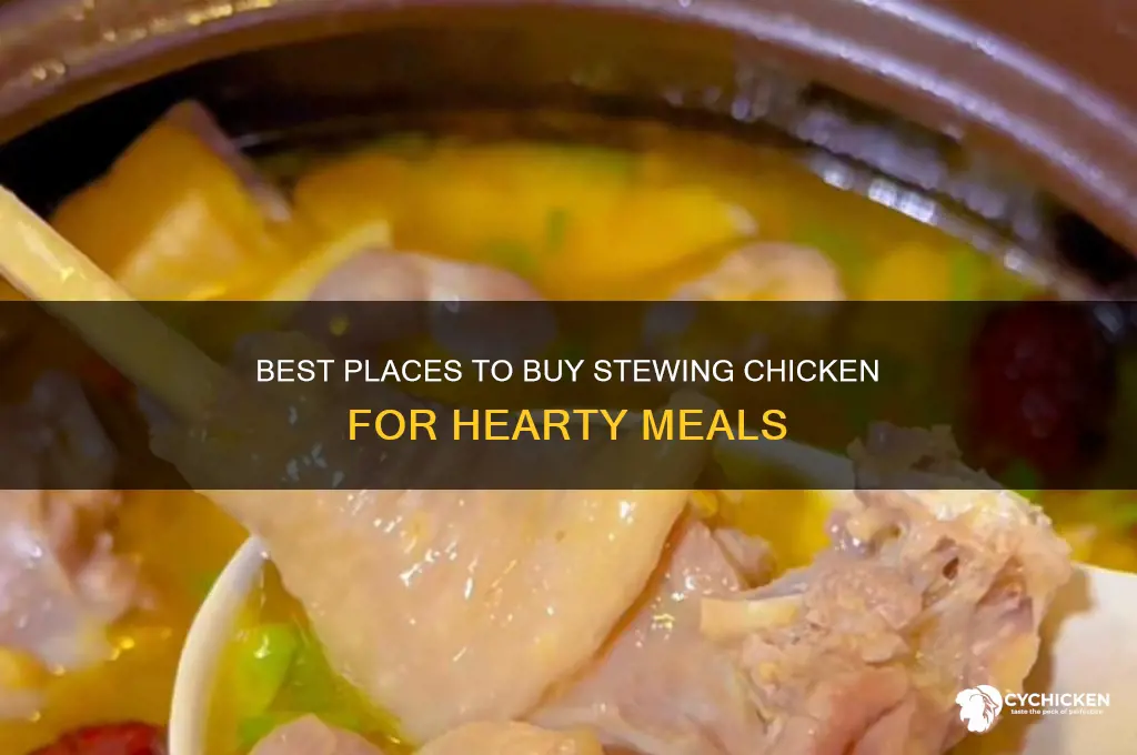 where can i buy a stewing chicken