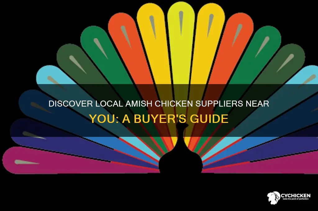 where can i buy amish chicken
