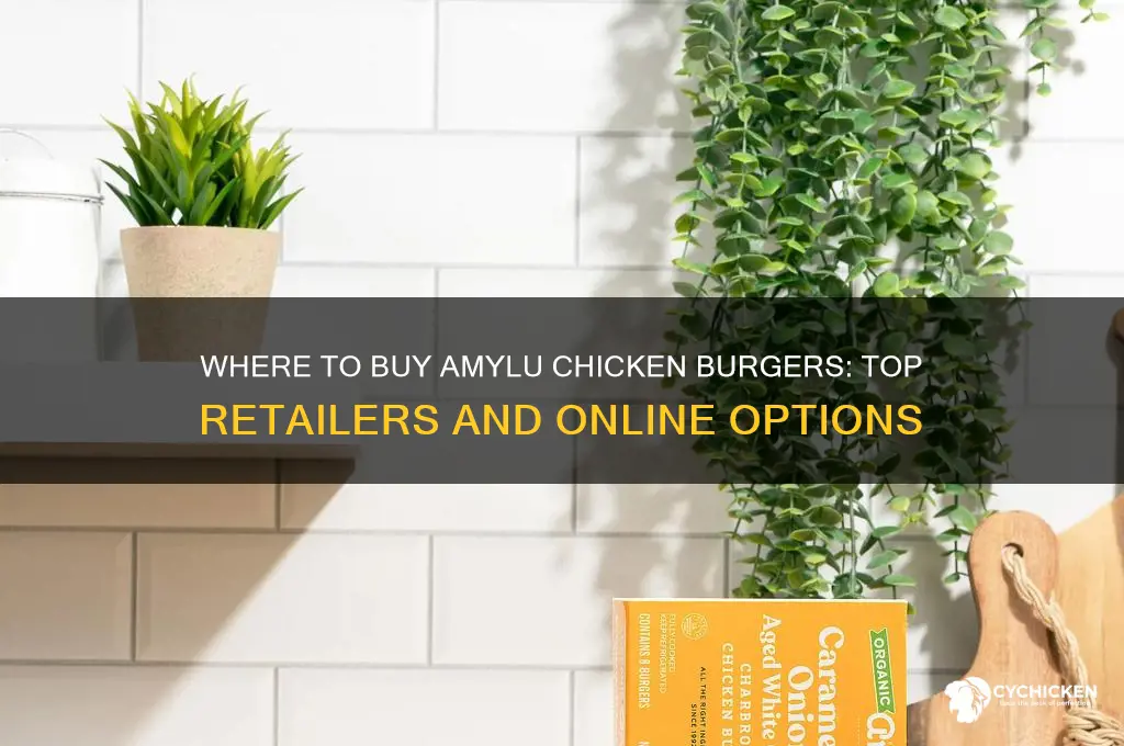where can i buy amylu chicken burgers