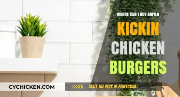 Discover Where to Buy Amylu Kickin' Chicken Burgers Today!