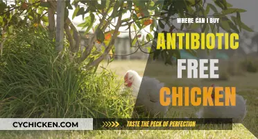 Where to Find Antibiotic-Free Chicken: A Healthy Shopping Guide