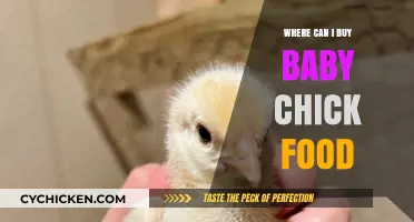 Where to Buy Baby Chick Food: Top Stores and Online Options
