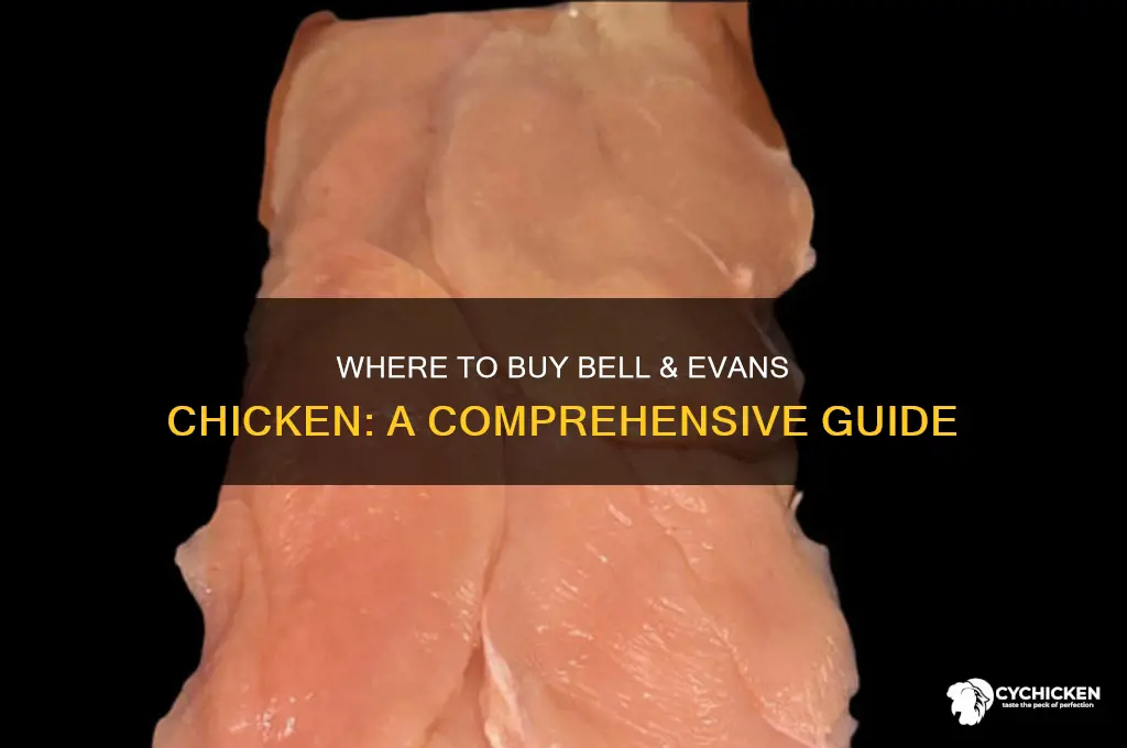 where can i buy bell and evans chicken