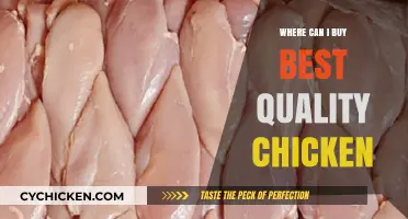 Discover Top-Quality Chicken: Best Places to Buy Fresh Poultry