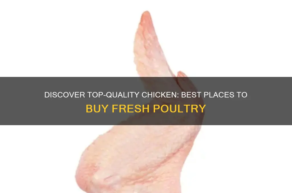 where can i buy best quality chicken
