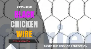 Where to Buy Black Chicken Wire: Top Retailers and Online Options