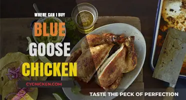 Where to Buy Blue Goose Chicken: Top Retailers and Tips