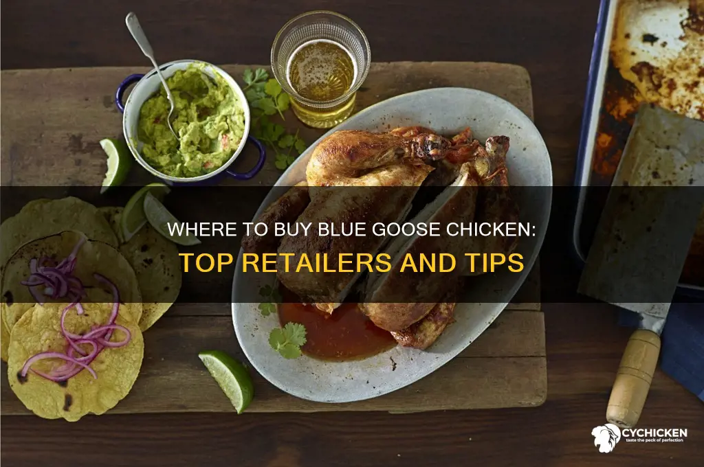 where can i buy blue goose chicken