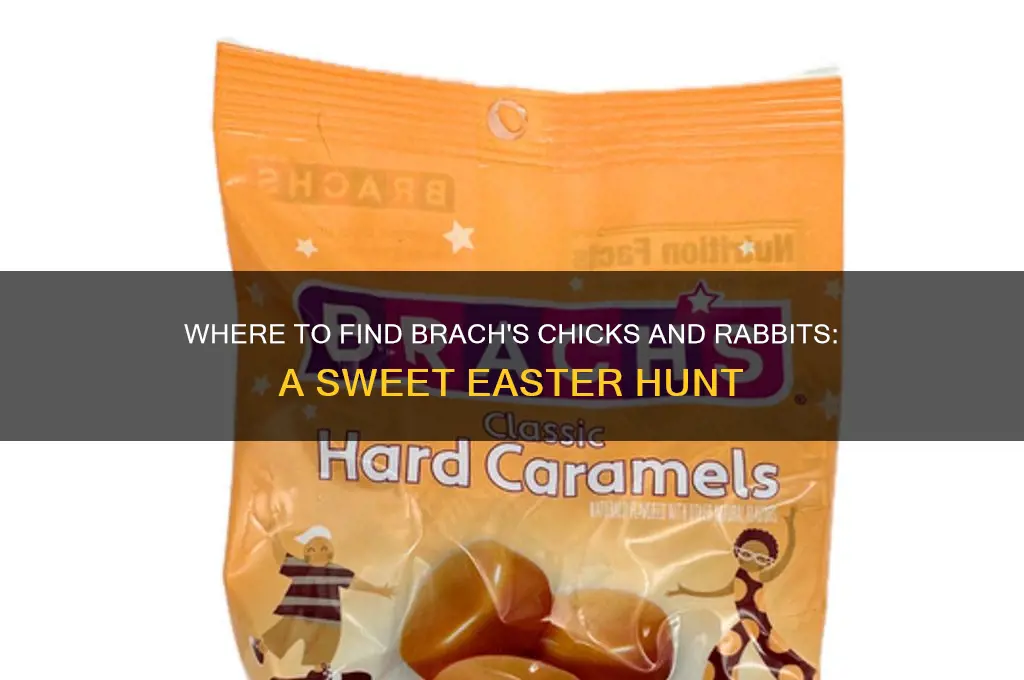where can i buy brach