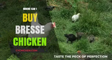Where to Buy Authentic Bresse Chicken: A Gourmet's Guide