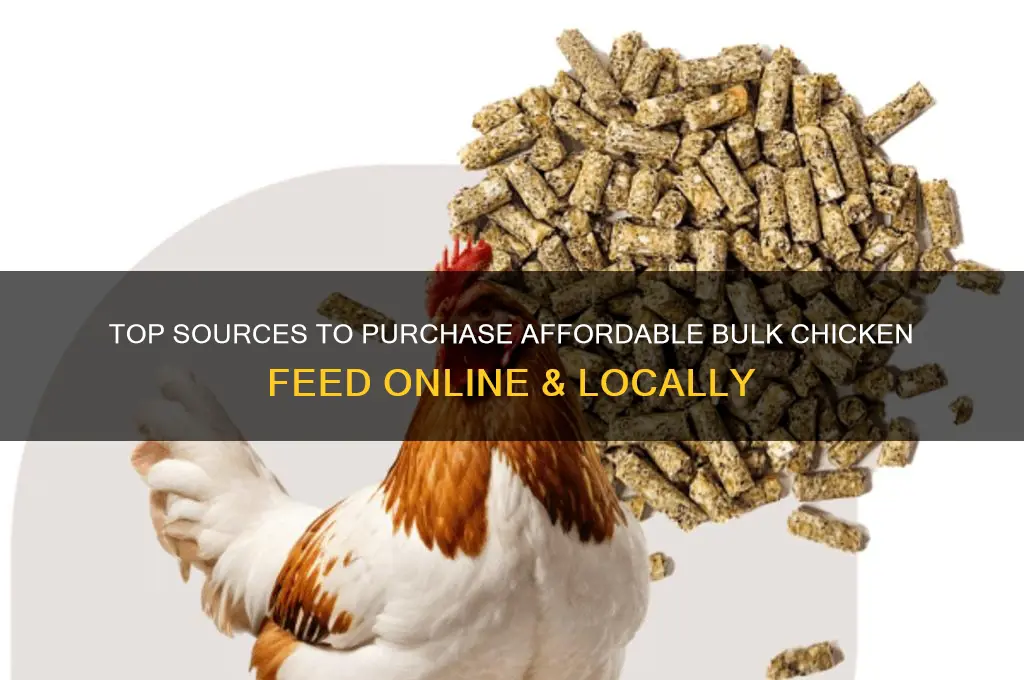 where can i buy bulk chicken feed