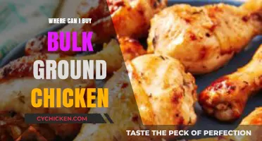 Where to Buy Bulk Ground Chicken: Top Retailers and Tips