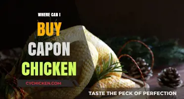 Where to Buy Capon Chicken: Top Retailers and Specialty Sources