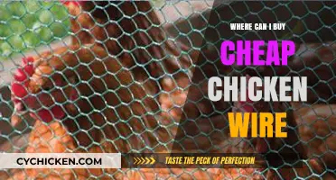 Affordable Chicken Wire: Top Stores and Online Sources for Budget Buyers