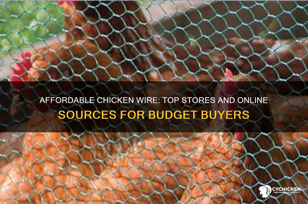 where can i buy cheap chicken wire