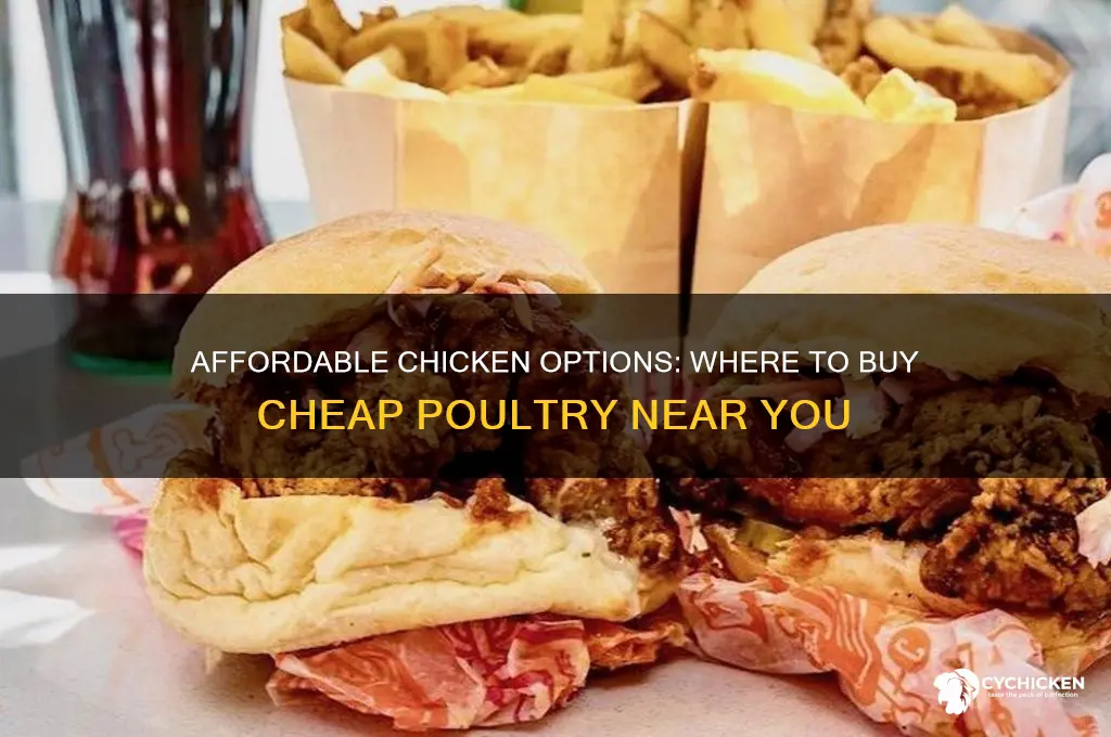 where can i buy cheap chicken
