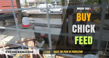 Where to Buy Chick Feed: Top Retailers and Online Options