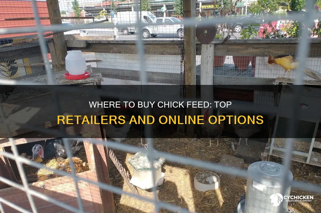 where can i buy chick feed
