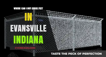 Where to Buy Chick Feet in Evansville, Indiana: A Guide