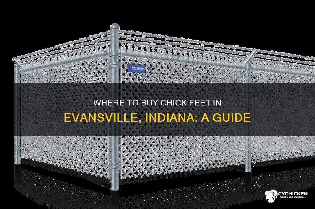 where can i buy chick feet in evansville indiana