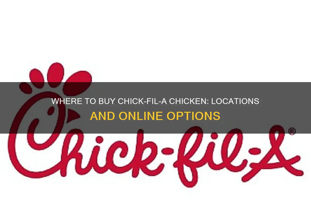 where can i buy chick fil a chicken