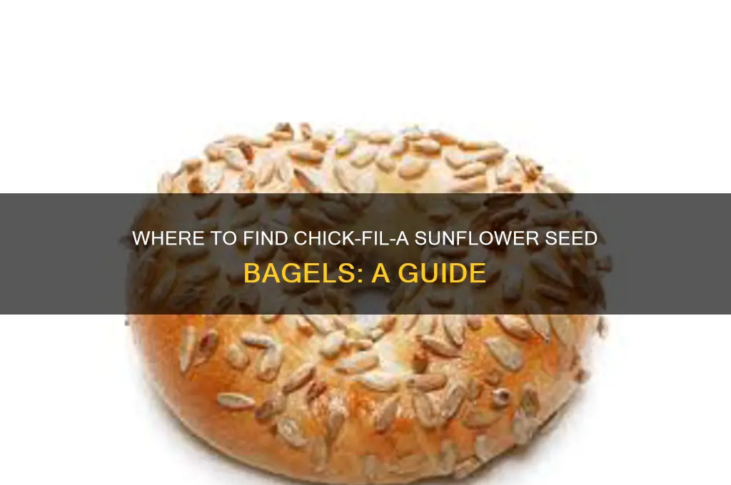 where can i buy chick fila sunflower sead bagles