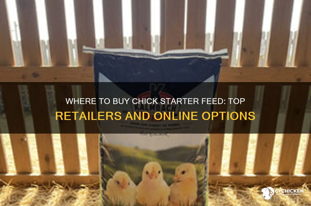 where can i buy chick starter feed