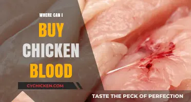 Where to Buy Chicken Blood: A Comprehensive Guide for Buyers