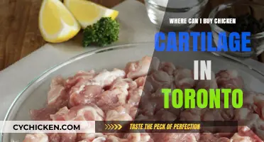 Where to Buy Chicken Cartilage in Toronto: Top Spots Guide
