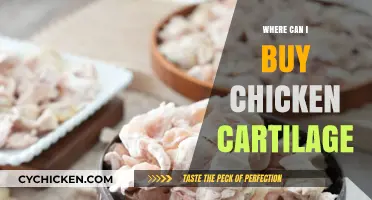 Where to Buy Chicken Cartilage: Top Sources and Tips