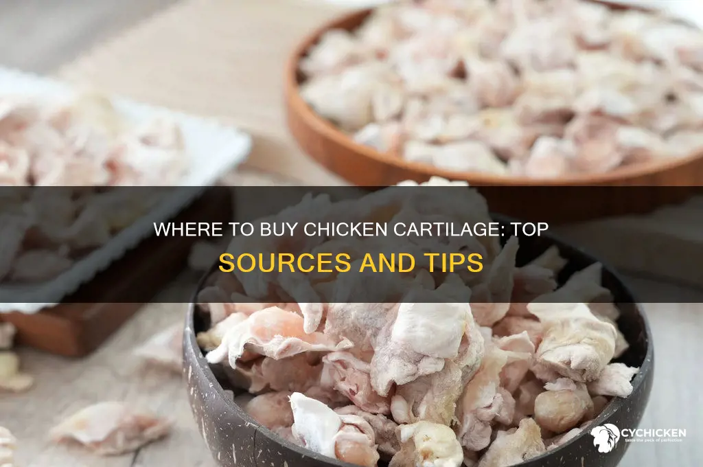 where can i buy chicken cartilage