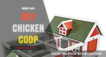 Best Places to Purchase Quality Chicken Coops for Your Flock