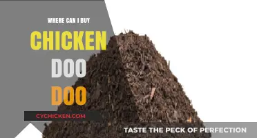 Where to Buy Chicken Doo Doo: Top Sources and Tips