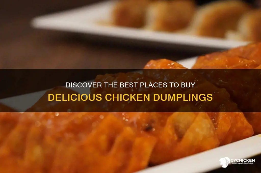 where can i buy chicken dumplings