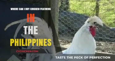 Where to Buy Chicken Feathers in the Philippines: A Guide