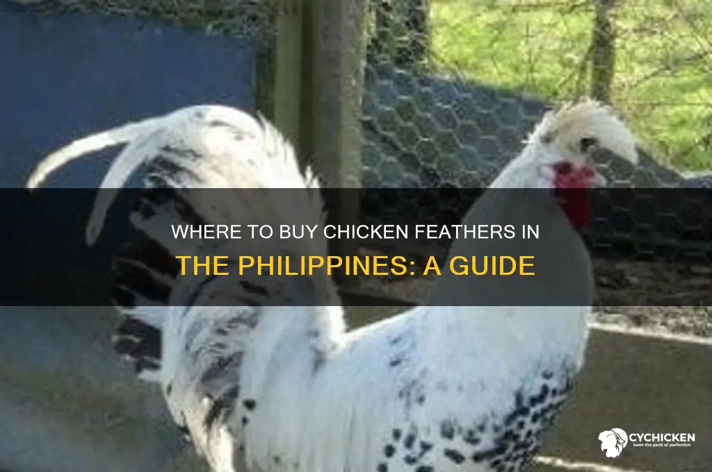 where can i buy chicken feathers in the philippines