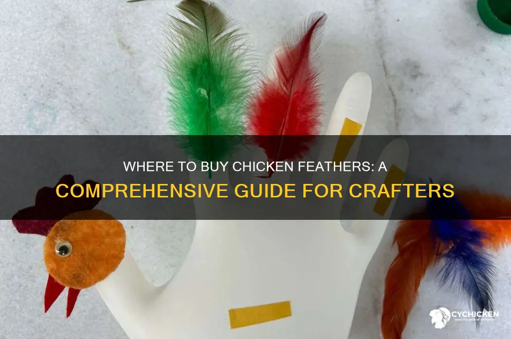 where can i buy chicken feathers
