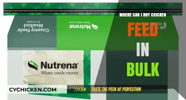 Bulk Chicken Feed Suppliers: Where to Buy in Large Quantities